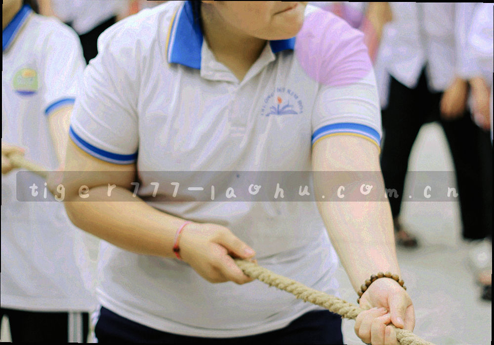 三台老虎机机型并排倾斜拍摄，底部金色铭牌区分档次